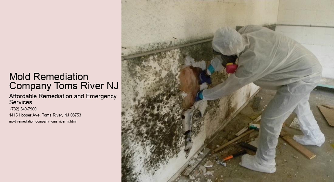 Mold Remediation Company Toms River NJ