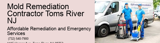 Mold Remediation Contractor Toms River NJ