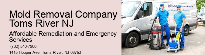 Mold Removal Company Toms River NJ