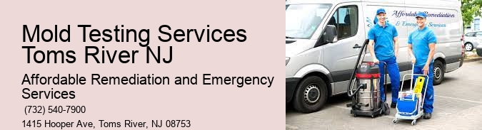Mold Testing Services Toms River NJ