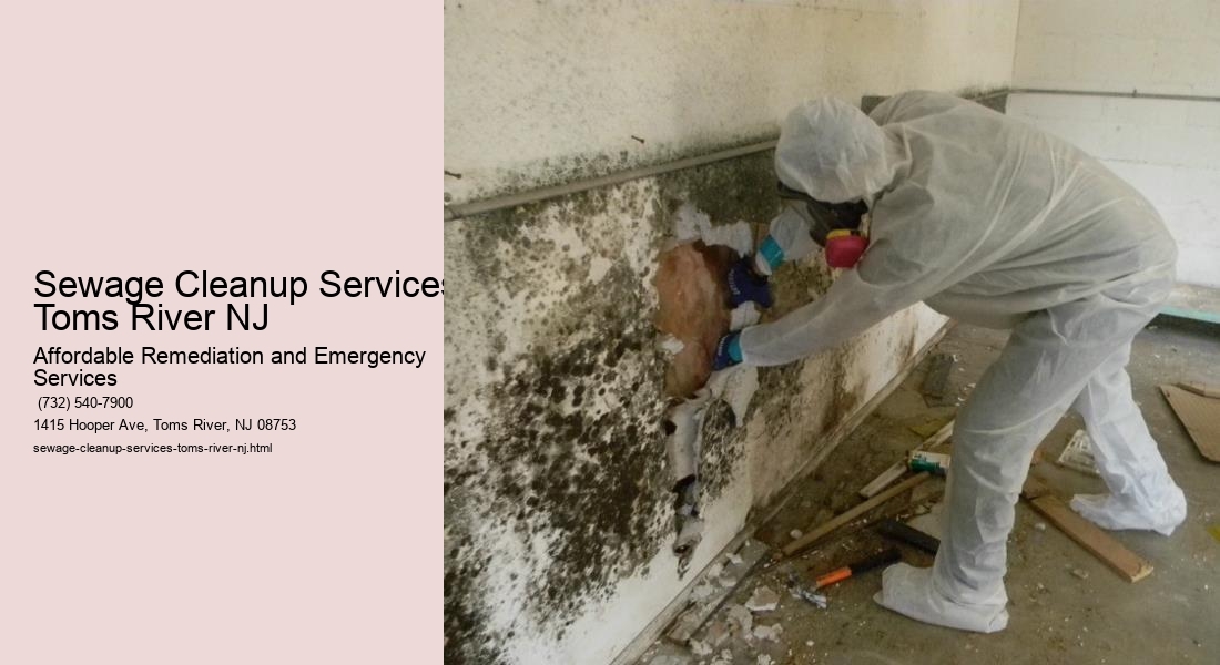 Sewage Cleanup Services Toms River NJ