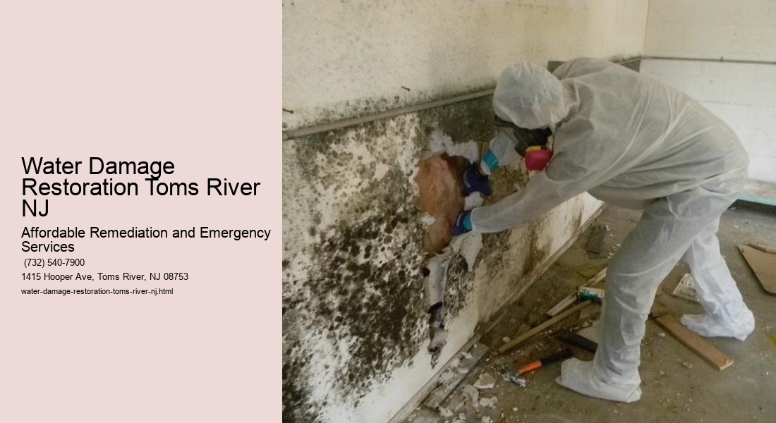 Water Damage Restoration Toms River NJ