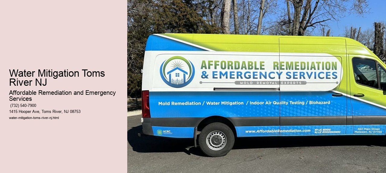 Water Mitigation Toms River NJ
